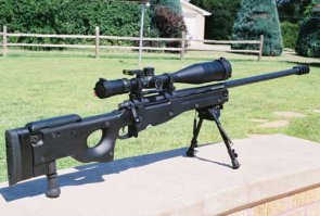 Tactical Eliminator Supermagnum .338 Lapua
Custom Match

Мосина конечно легенда, но точнее и проще в использовании вот этой красавицы не встречал.