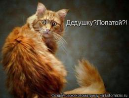 Просто её надо напугать или удивить