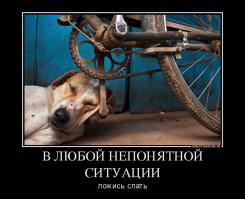 А вы знали, что ...