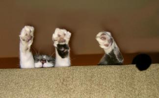 В любой непонятной ситуации - ложись спать!