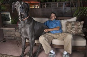 Вот такого предлагают. Вот думаю, мы вместе с ребёнком какать кирпичами будем ;)