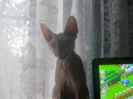 Моя сразу улыбается :)