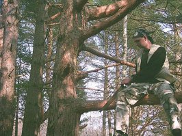 Идиоты на работе