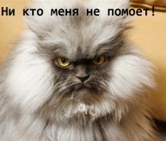 Пятничные демотиваторы