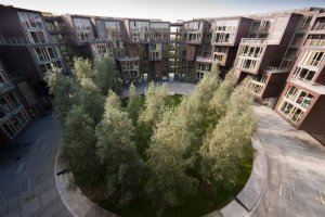 Вот здесь можно коноплю сажать, для студентов раздолье:)