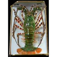 Давно не обращаю внимания на аватарки, я с человеком общаюсь и в большинстве своём по его имени можно определить его пол. У тебя же написанно "печально, но факт" :) Пардонте, что дядей назвал. У меня на аватарке Джейсон Стэтхем не случайно, просто я на него похож. Теперь, что касается лобстеров: часто бываю на море и видел их в живую, на раков они не похожи. У меня на кухне он на стене висит в виде сувенира, его длинна почти 50 см. И это он ещё совсем подросток ;)