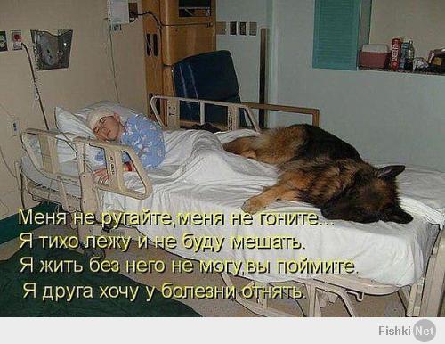 Фишкина солянка за 19.05.2014