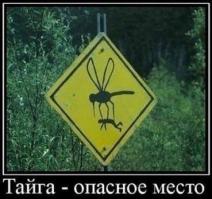 Такое возможно только в России