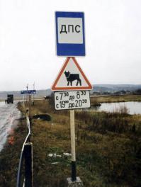 Эта веселая полиция!