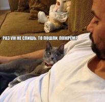 Фишкина солянка за 26.10.2014 г.