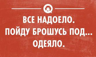 Фишкина солянка за 19.11.2014