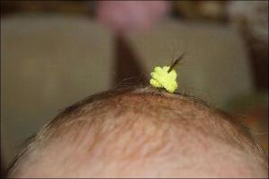 Фишкина солянка за 24.11.2014 