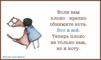 Фишкина солянка за 26.11.2014 