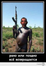 Подборка видео от 02.06.2014