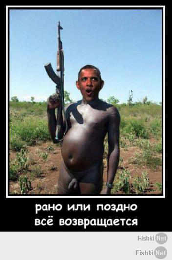 Подборка видео от 02.06.2014