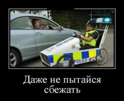 Фишкина солянка за 03.08.2014