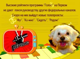 Фишкина солянка за 14.09.2014