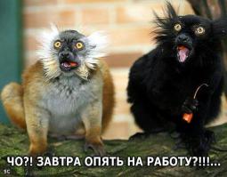 Картинки со смешными подписями