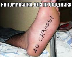 Фишкина солянка за 28.09.2014 