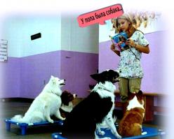 Фишкина солянка за 10.10.2014 