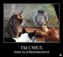 Фишкина солянка за 11.10.2014 