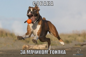 Фишкина солянка за 14.10.2014 