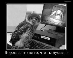 Фишкина солянка за 17.10.2014  