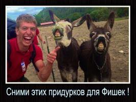 Фишкина солянка за 23.10.2014