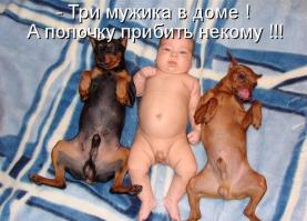 Фишкина солянка за 25.10.2014