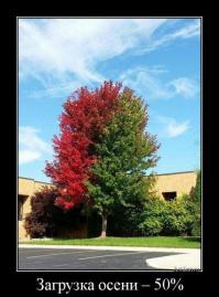 Фишкина солянка за 27.10.2014 