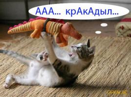 Фишкина солянка за 27.10.2014 