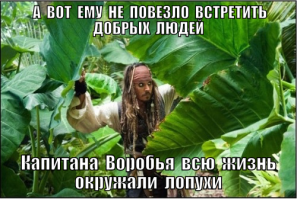 Птенец выпал из гнезда 