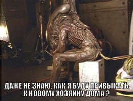 В Швеции на продажу выставили дом за 320 тысяч евро