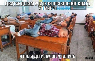 Фишкина солянка за 12.11.2014