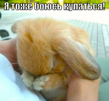 Что ты знаешь о безумии