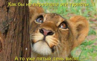 Kартинки с подписями