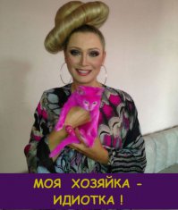 10 собак, которые выглядят как совершенно другие животные