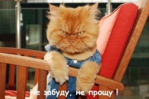 Домой не пускают ?