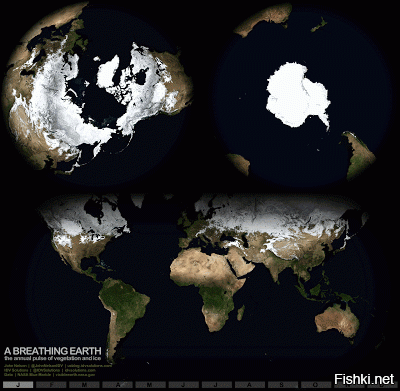 Обрати внимание на верхний правый рисунок и ты поймешь что континенты находятся в основном в северном полушарии и в центре. По этому ты так мало слышал про зимы в южном полушарии. А они там как раз холоднее(самые низкие температуры зарегистрирован в Антарктиде).
А зима в северном полушарии как раз приходится на перигелий (это когда Земля ближе всего к Солнцу)
