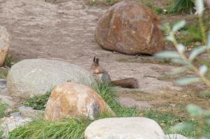 Усадьба  "Царицыно"