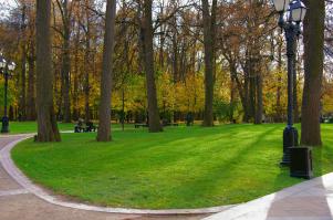 Можно посидеть в тишине аллей