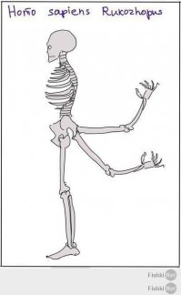 Последнее фото - очень печальное. До пройоба обеда из за того, что перевернулся котел осталось 5,4,3,2....  Чуть гульнула от температуры или прогорания опорная стенка - поперечина соскользнет и стойка завалится вместе с котлом - стойку всегда надо делать Х - образную. Люди явно далеко от дома не уходят, и правильно делают...