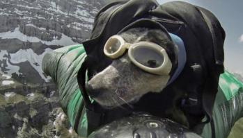 Или заниматься экстримальным туризмом :)