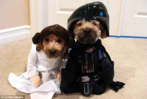 Сниматься в кино и играть в интеллектуальные игры, или собраться за покерным столом :)