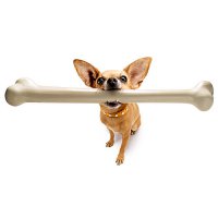 Как заткнуть собаку?