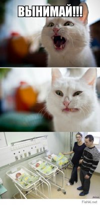 Когда стал отцом тройни