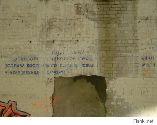 Собственные фотки с Балтийской косы.
