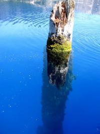 а вот, кстати, тот самый "старик"