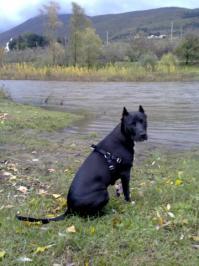 а вот моя "спинагрызка"))))