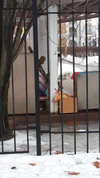 Вчера по району шел, мимо детского сада проходил. Они там игрушки оставляют на улице под верандой. Вот сфоткал такую игрушку)))) Москва. Зеленоград.